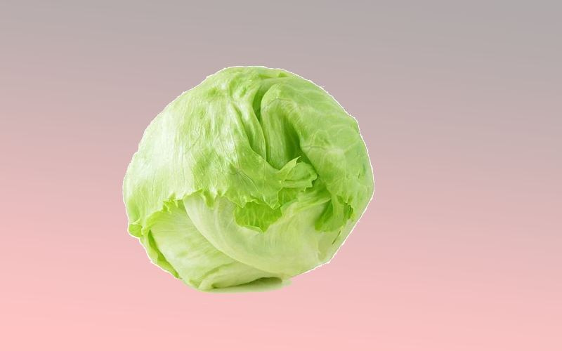 تصویر 4 از خرید کاهو پیچ تازه + قیمت فروش استثنایی